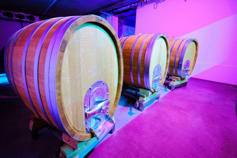 Weingut Römmert - Bild 9