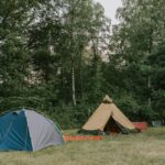 Wildwood Camping Lüneburger Heide - Bild 11 Wildwood Camping Lüneburger Heide - Bild 11