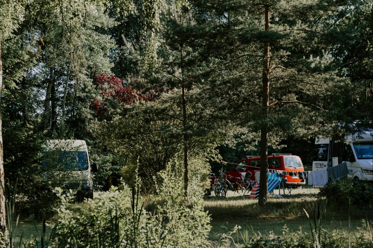 Wildwood Camping Lüneburger Heide - Bild 4 Wildwood Camping Lüneburger Heide - Bild 4