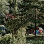 Wildwood Camping Lüneburger Heide - Bild 4 Wildwood Camping Lüneburger Heide - Bild 4