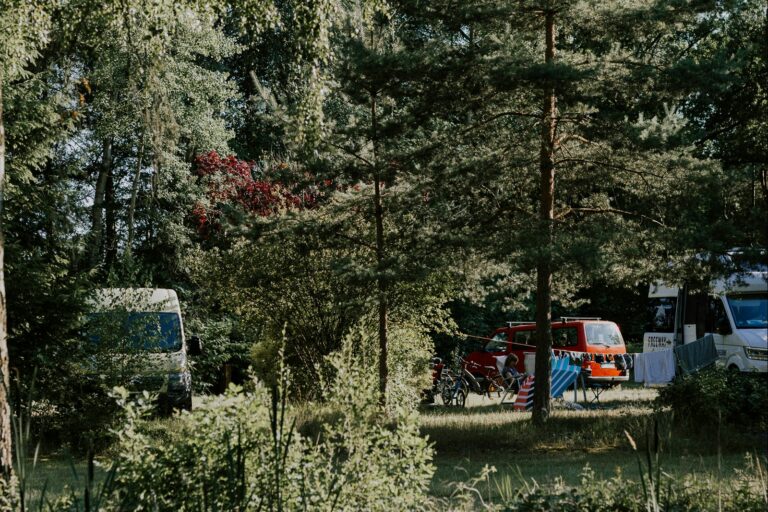 Wildwood Camping Lüneburger Heide - Bild 4 Wildwood Camping Lüneburger Heide - Bild 4