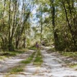 Wilsumer Berge - Bild 2