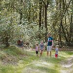 Wilsumer Berge - Bild 5