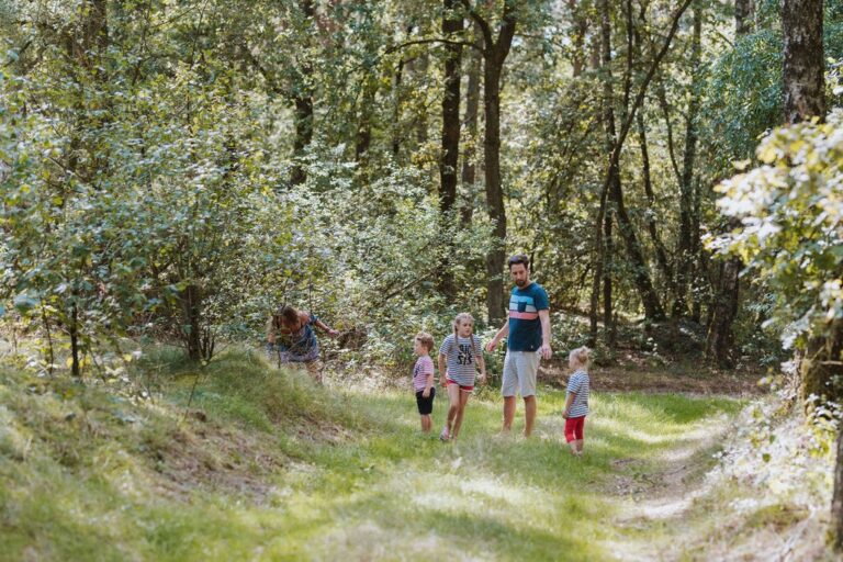 Wilsumer Berge - Bild 5