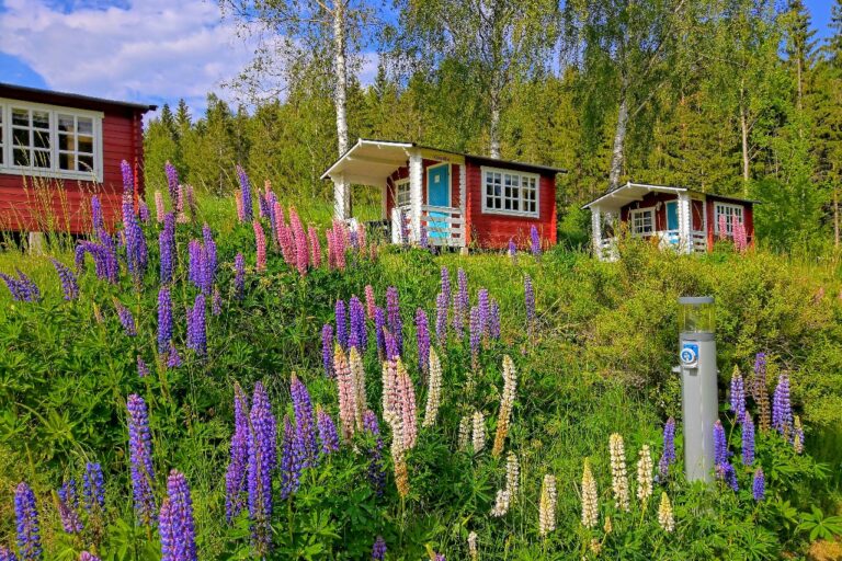 Yxningens Camping & Café - Bild 5