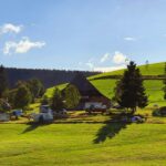 Zum Wilden Michel - Bild 3