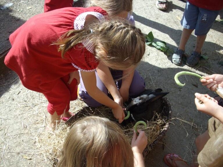 Camping Le Trèfle À 4 Feuilles - Bild 1