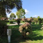 Wecamp Cudillero - Bild 1